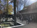 ハルニレテラスの写真_454836