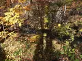 ハルニレテラスの写真_454837