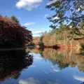 雲場池の写真_454972
