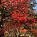 雲場池の写真_454977