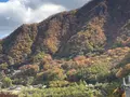 道の駅 八ッ場ふるさと館の写真_455030