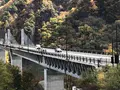 道の駅 八ッ場ふるさと館の写真_455032