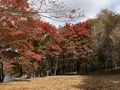 榛名湖の写真_455035