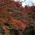 榛名湖の写真_455036