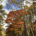 榛名湖の写真_455041