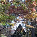 軽井沢高原教会の写真_455043