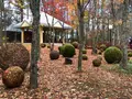 軽井沢高原教会の写真_455044