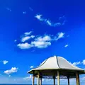 角島の写真_455491