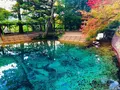 別府弁天池の写真_455499