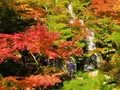 三景園の写真_455512