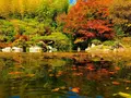 三景園の写真_455514