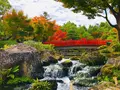 由志園の写真_455524