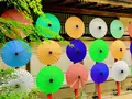 由志園の写真_455525