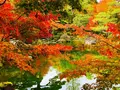 由志園の写真_455527