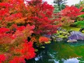 由志園の写真_455529