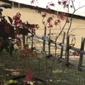 三景園の写真_456394