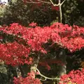 三景園の写真_456398