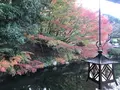 三景園の写真_456405