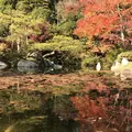 三景園の写真_456408