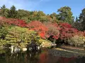 三景園の写真_456409
