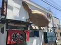 亀きん食堂の写真_456660