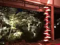 円覚寺（臨済宗）の写真_457000