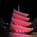東長寺の写真_457003