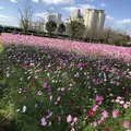 キリンビアファーム KIRIN BEER FARM BEER RESTAURANTの写真_457017