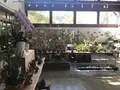 食卓manoの写真_457974