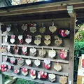 大興善寺の写真_460272