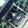 大興善寺の写真_460273