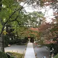 大興善寺の写真_460277