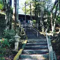 大悲王院の楓の写真_460282