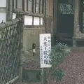 大悲王院の楓の写真_460283