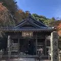 大悲王院の楓の写真_460289