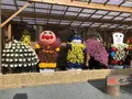 宗像大社の写真_460385