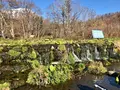 羊蹄山の湧き水の写真_462032