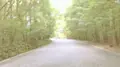 伊勢神宮の写真_462153