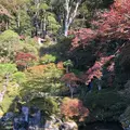 修善寺の写真_462842