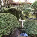 修善寺の写真_462843