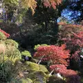 修善寺の写真_462845