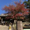 修善寺の写真_462846