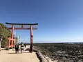 青島神社の写真_463508