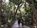 青島神社の写真_463509