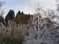 箱根ガラスの森美術館の写真_463741