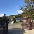淡路ファームパーク イングランドの丘の写真_463752