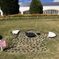 淡路ファームパーク イングランドの丘の写真_463754