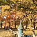 トーベ・ヤンソンあけぼの子どもの森公園の写真_463782