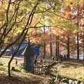 トーベ・ヤンソンあけぼの子どもの森公園の写真_463785
