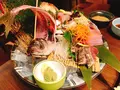 銀座 さかなさまの写真_464268